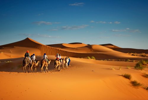 Kamelsafari Shutterstock 1060904396