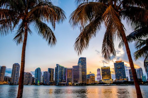 Miami,,Florida,Skyline,And,Bay,At,Sunset,Seen,Through,Palm