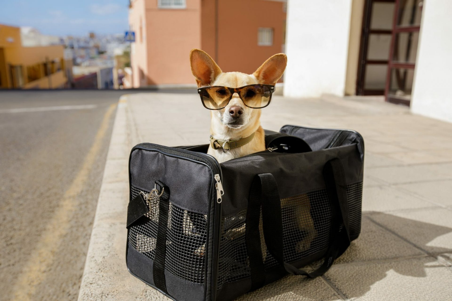 Shutterstock 763043470